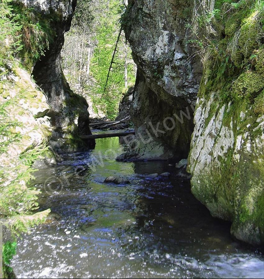 Fewo Bukowina Waldshut-Tiengen Exteriér fotografie