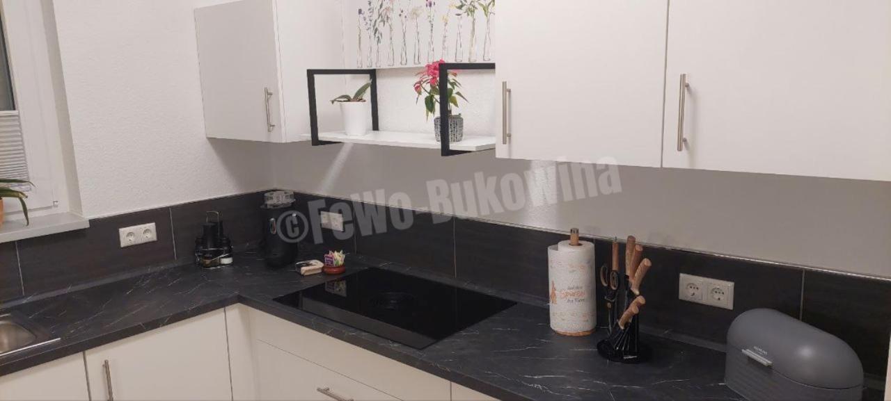 Fewo Bukowina Waldshut-Tiengen Exteriér fotografie